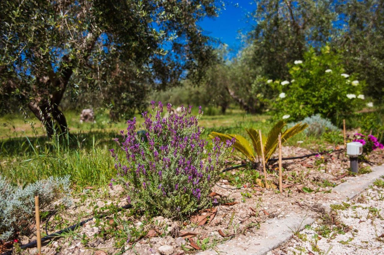 לינה וארוחת בוקר קוטרופיאנו Agriturismo Biologico Piccapane מראה חיצוני תמונה