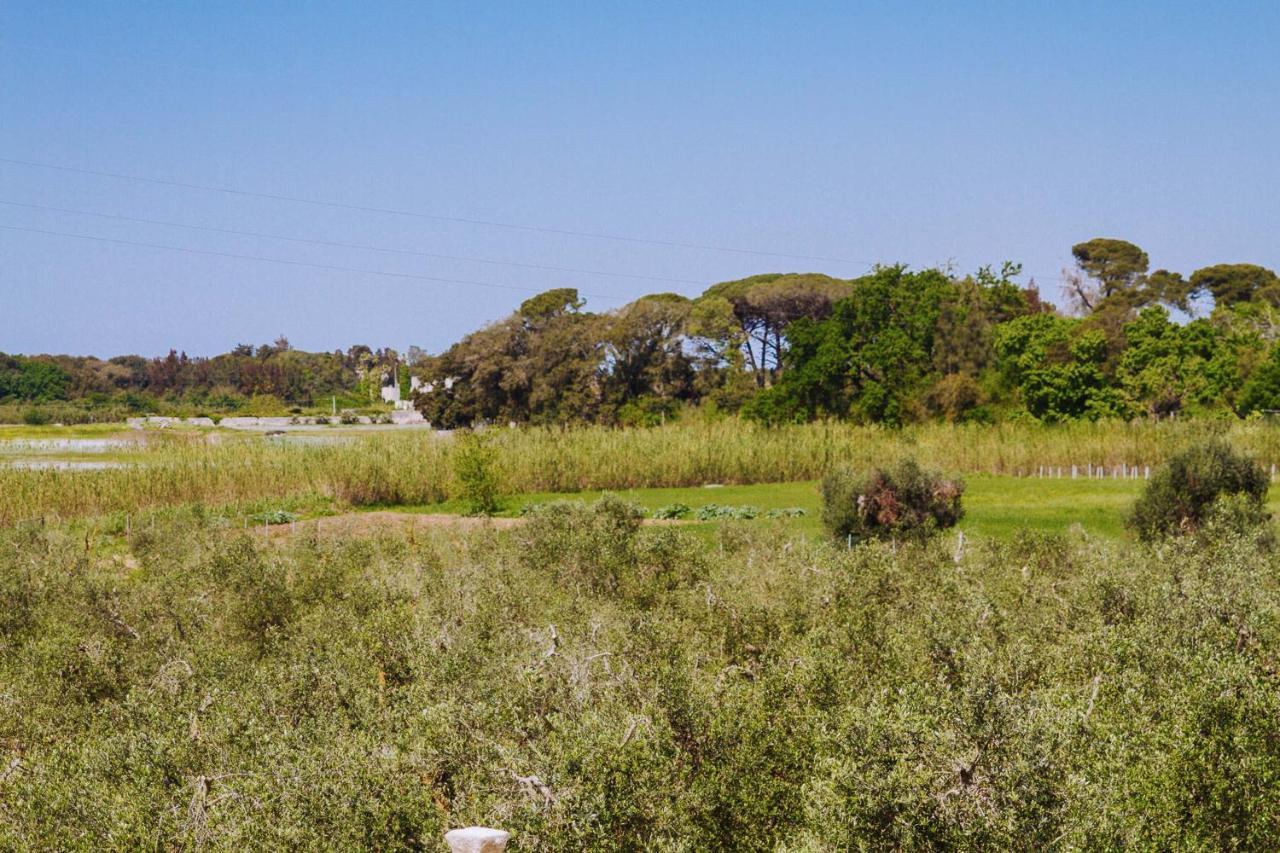 לינה וארוחת בוקר קוטרופיאנו Agriturismo Biologico Piccapane מראה חיצוני תמונה